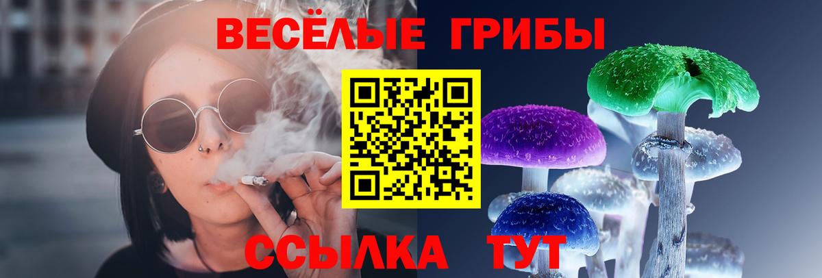 Псилоцибиновые грибы прущие грибы Железногорск